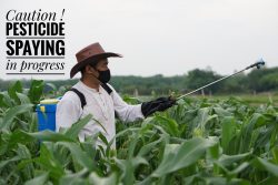 pesticide disposal services