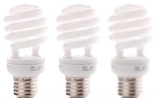 CFL Bulb Disposal